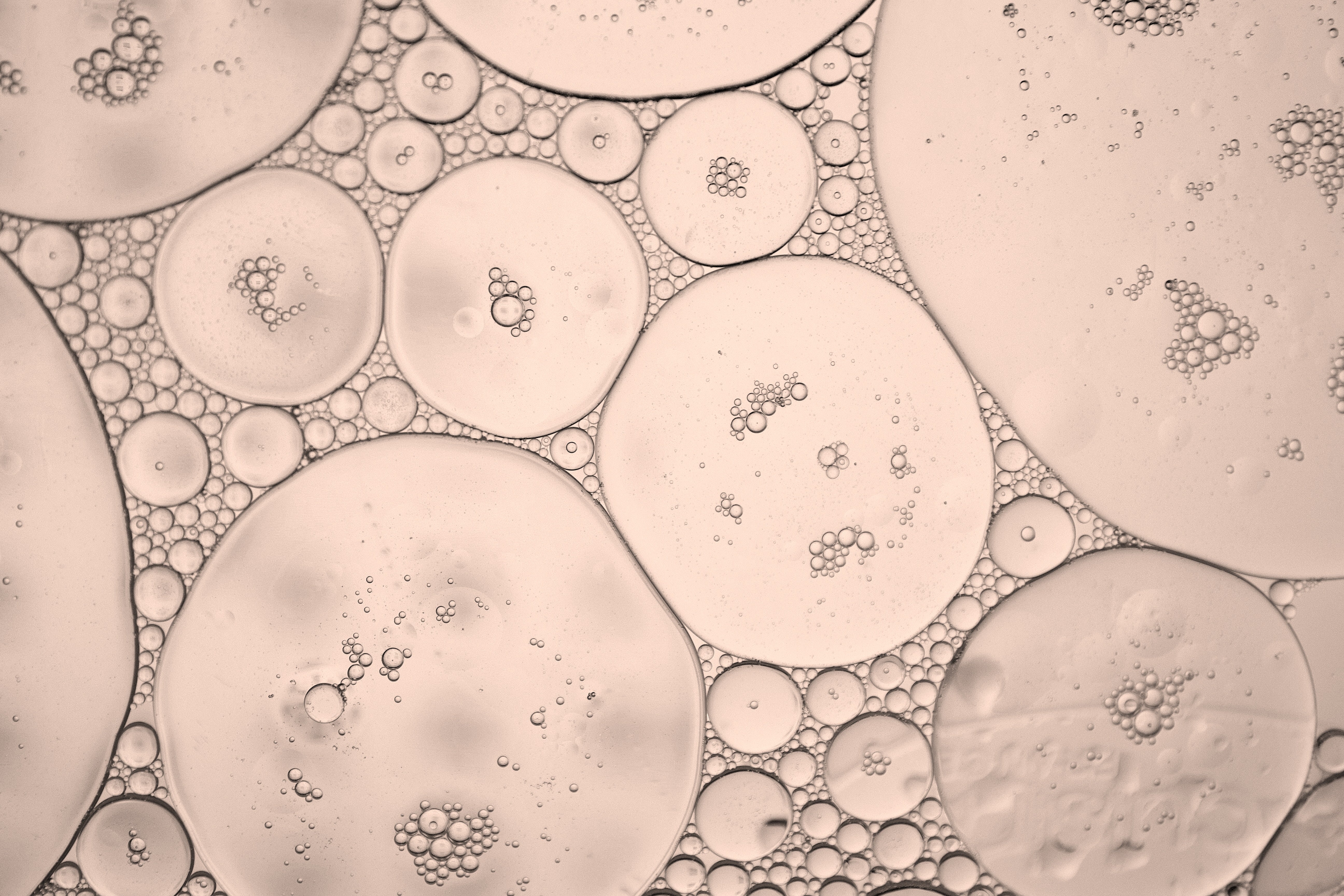 Die Geheimnisse der Hyaluronsäure entschlüsseln