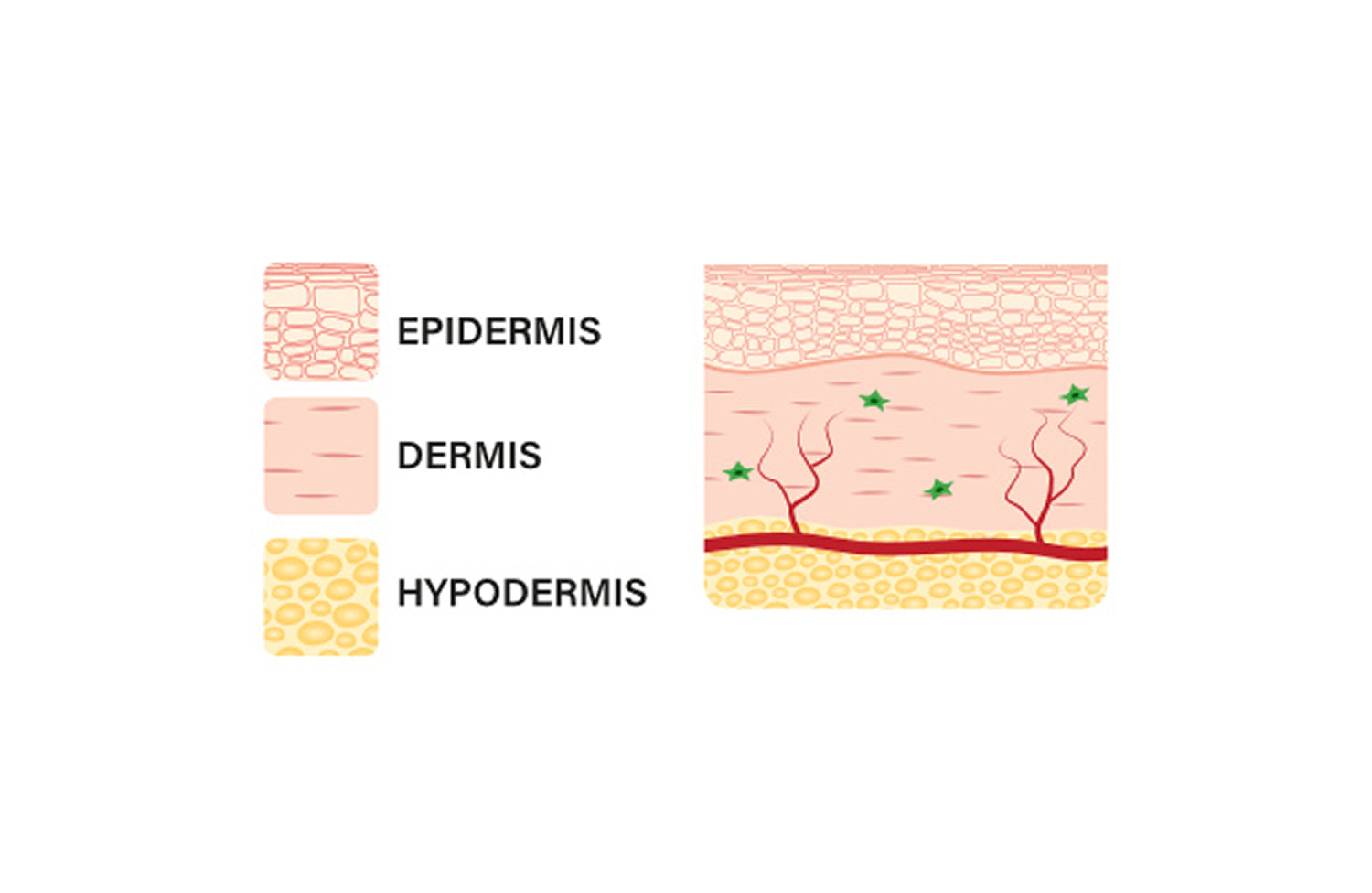 Decalys-Skincare